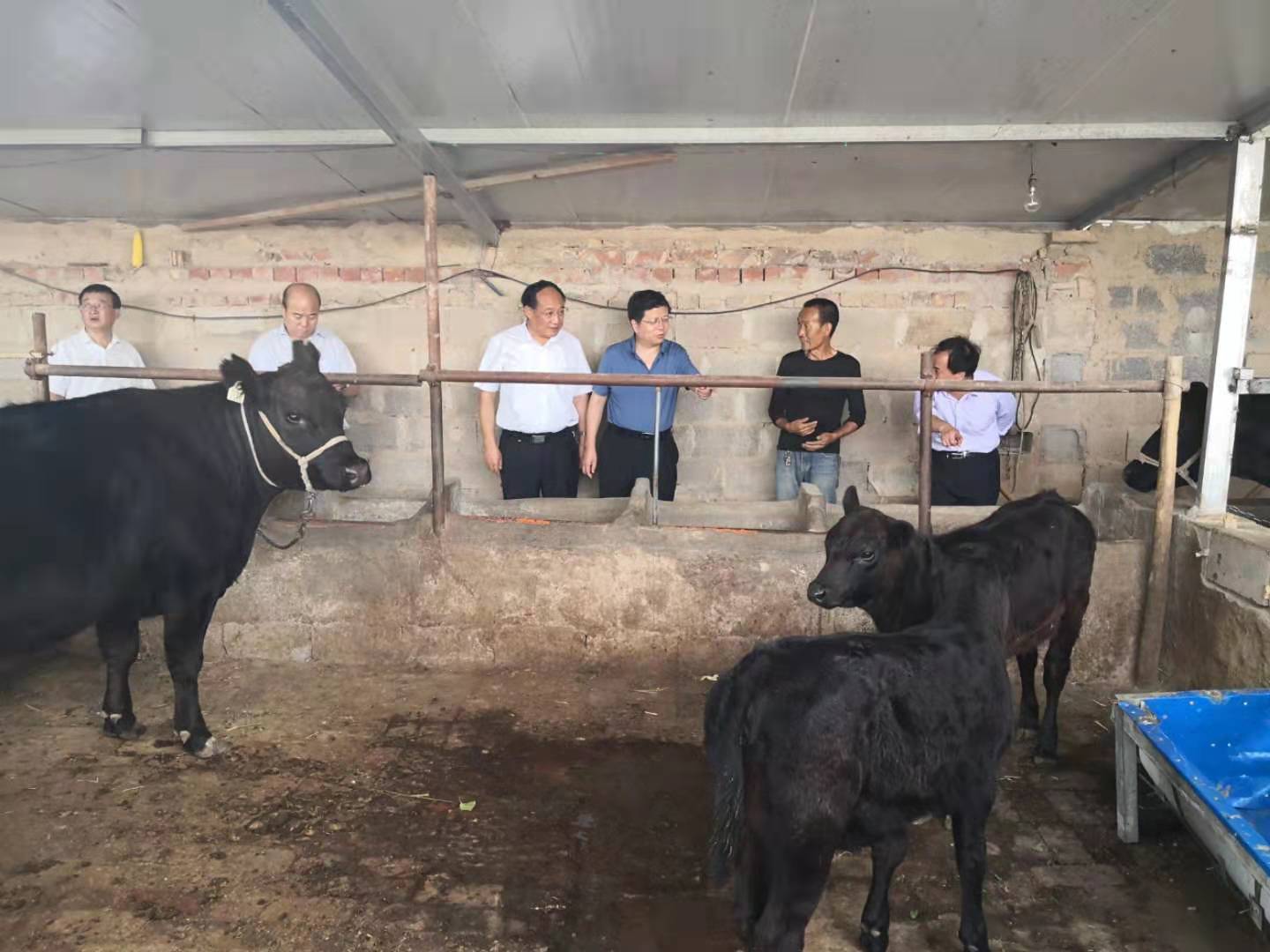 丰满的继牳2理伦片