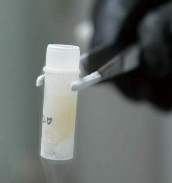 丰满的继牳2理伦片