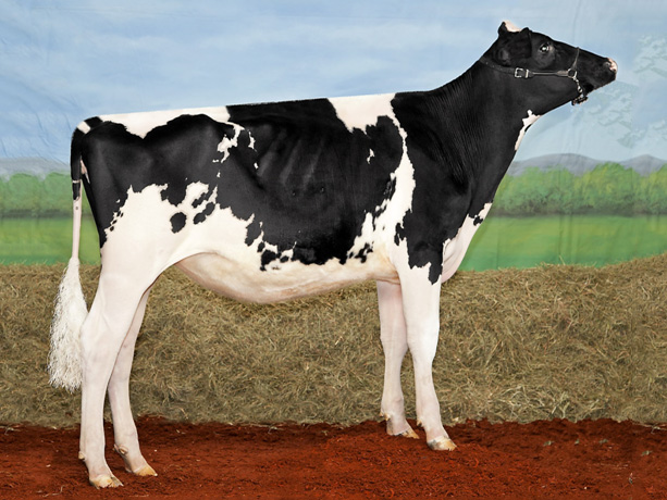 丰满的继牳2理伦片