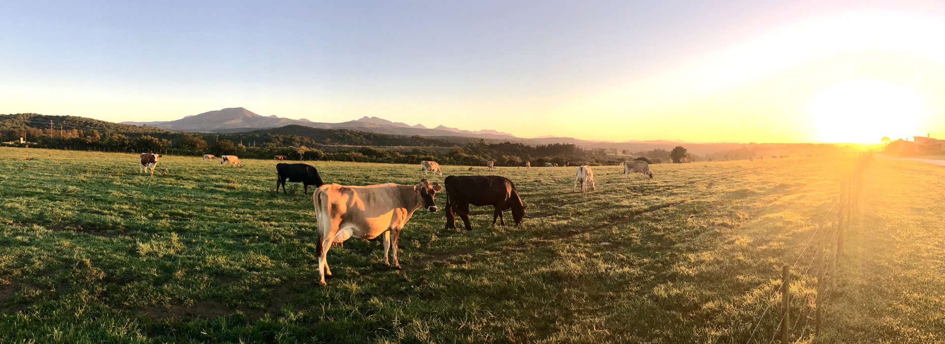 丰满的继牳2理伦片