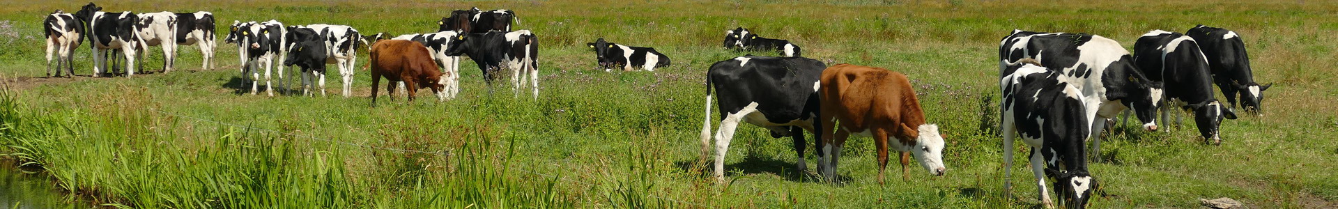 丰满的继牳2理伦片