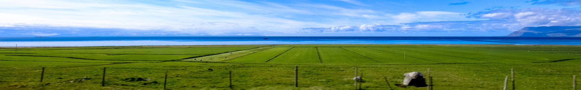 丰满的继牳2理伦片