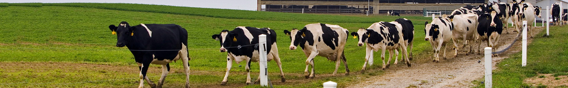 丰满的继牳2理伦片