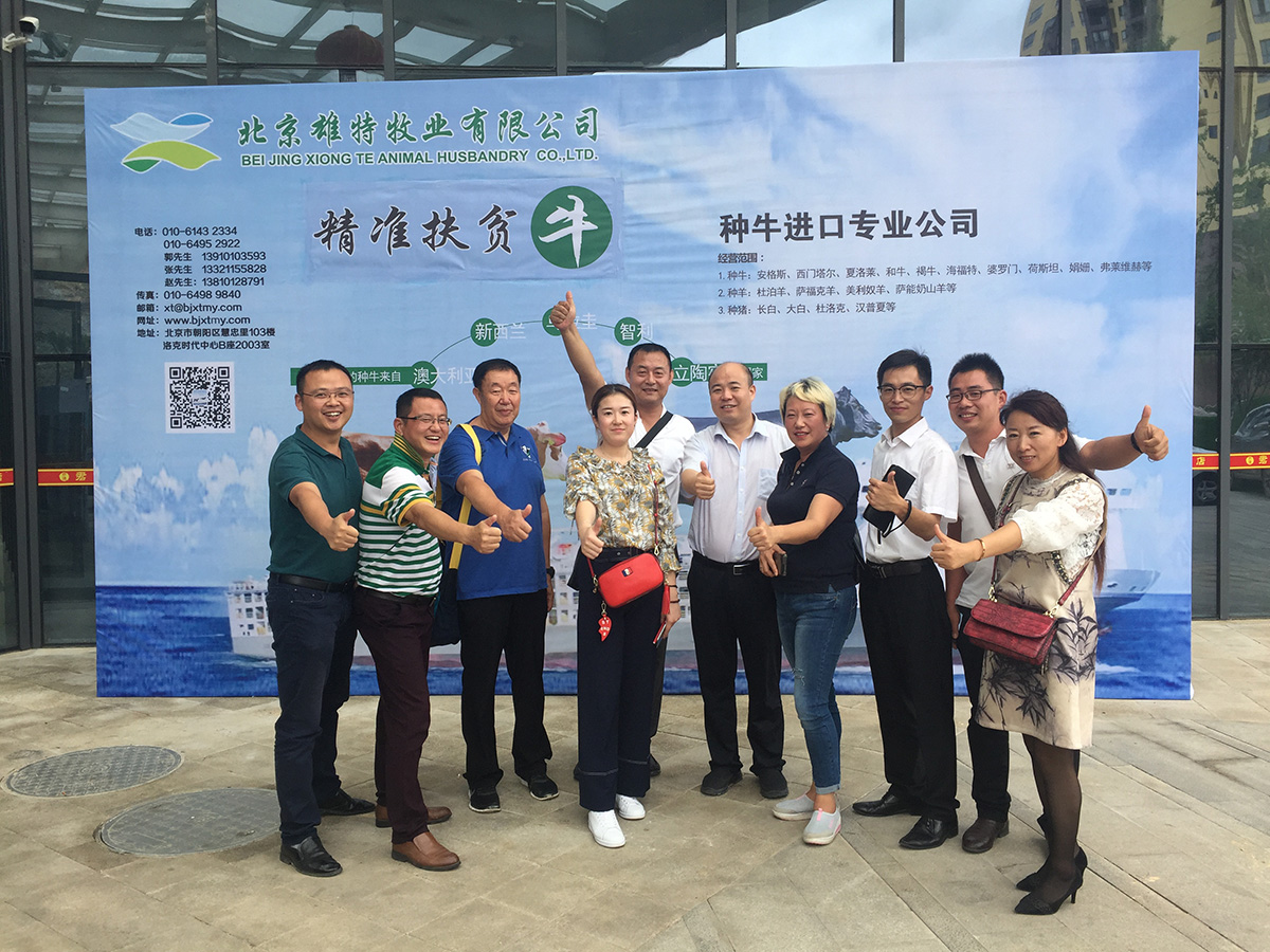 丰满的继牳2理伦片