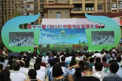 丰满的继牳2理伦片