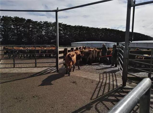 丰满的继牳2理伦片