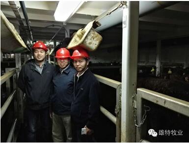 丰满的继牳2理伦片