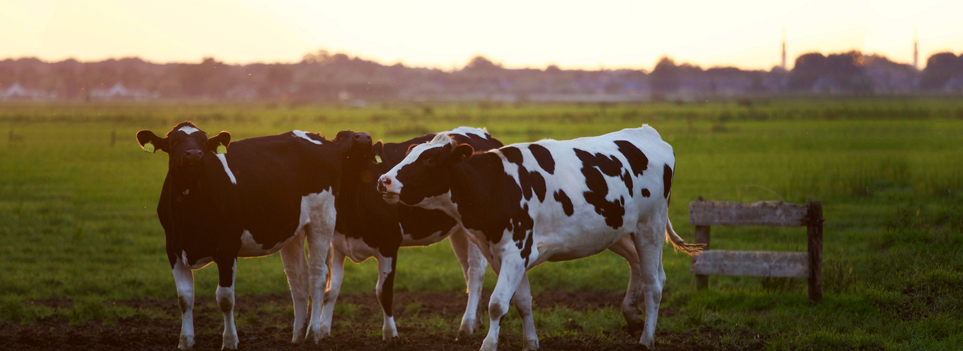 丰满的继牳2理伦片