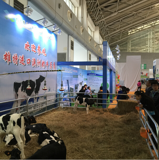 5e13d06deeae6.jpg 20160105182528742874.jpg