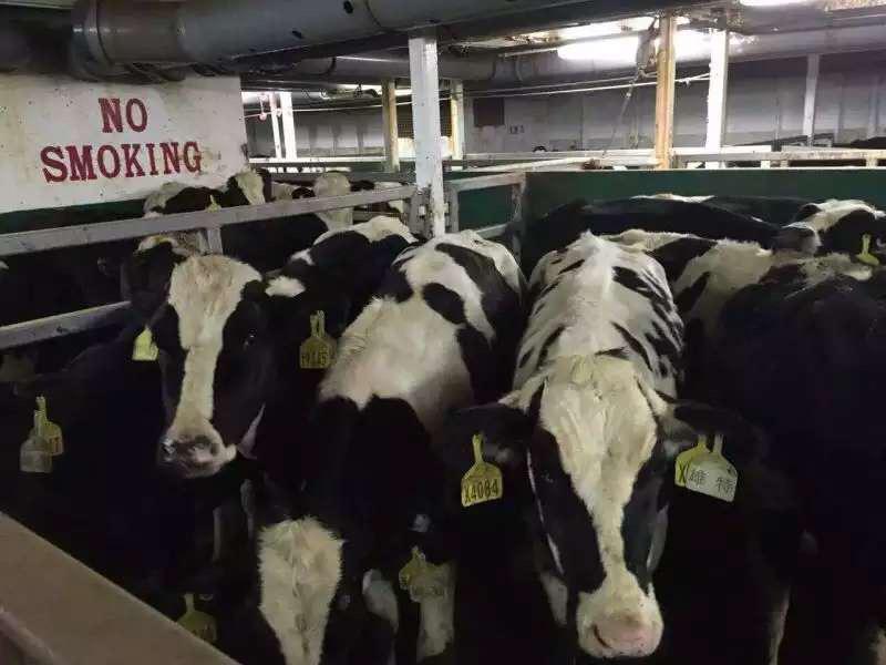 丰满的继牳2理伦片