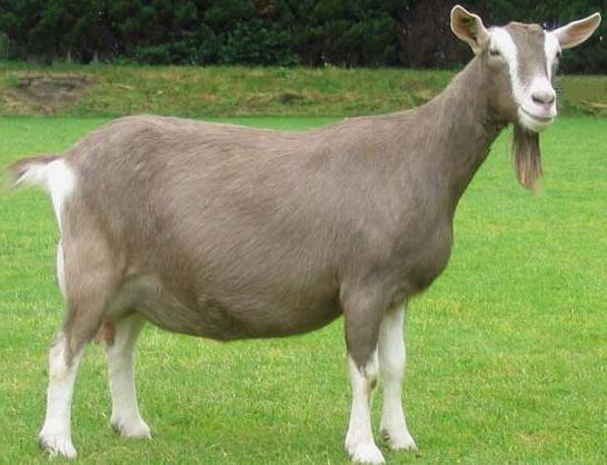 丰满的继牳2理伦片