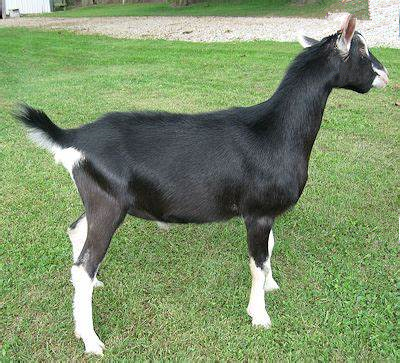 丰满的继牳2理伦片