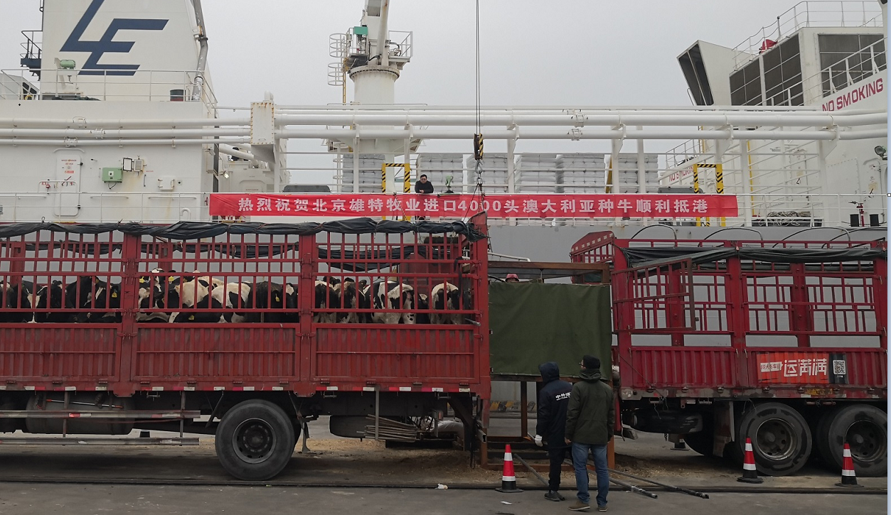 丰满的继牳2理伦片