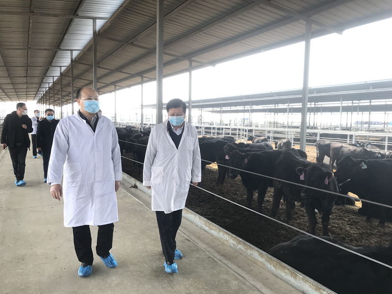 丰满的继牳2理伦片