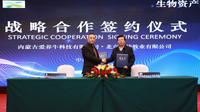 丰满的继牳2理伦片