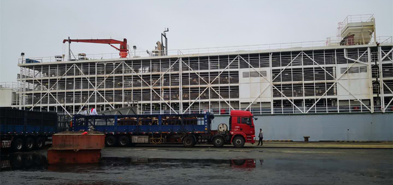 丰满的继牳2理伦片