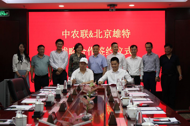 丰满的继牳2理伦片