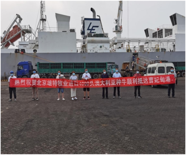 丰满的继牳2理伦片