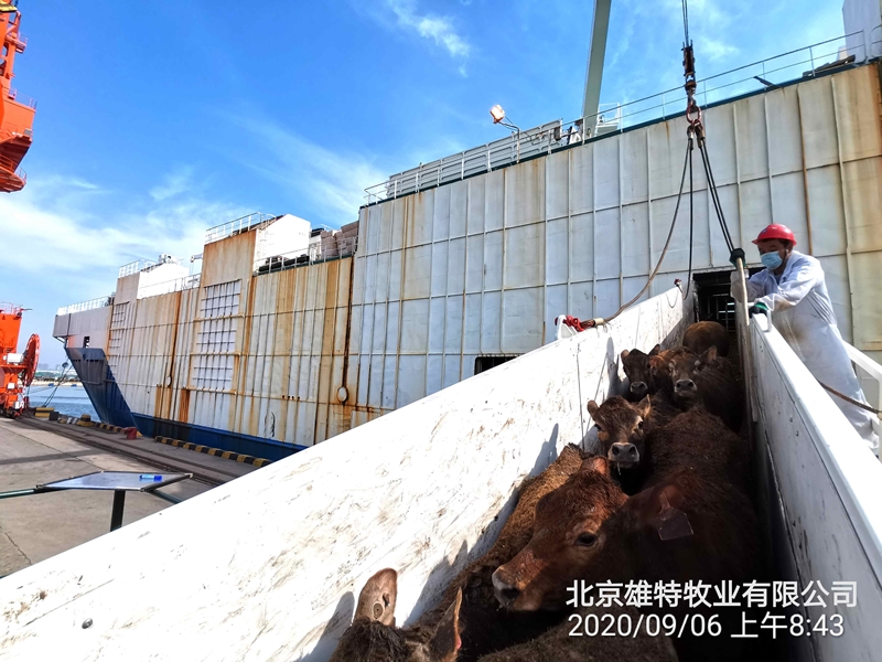 5f5498eb1ccc1.jpg 图2_副本_副本.jpg