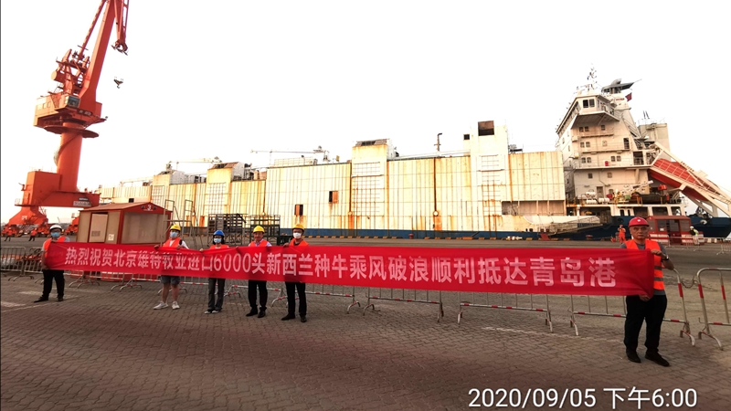 丰满的继牳2理伦片