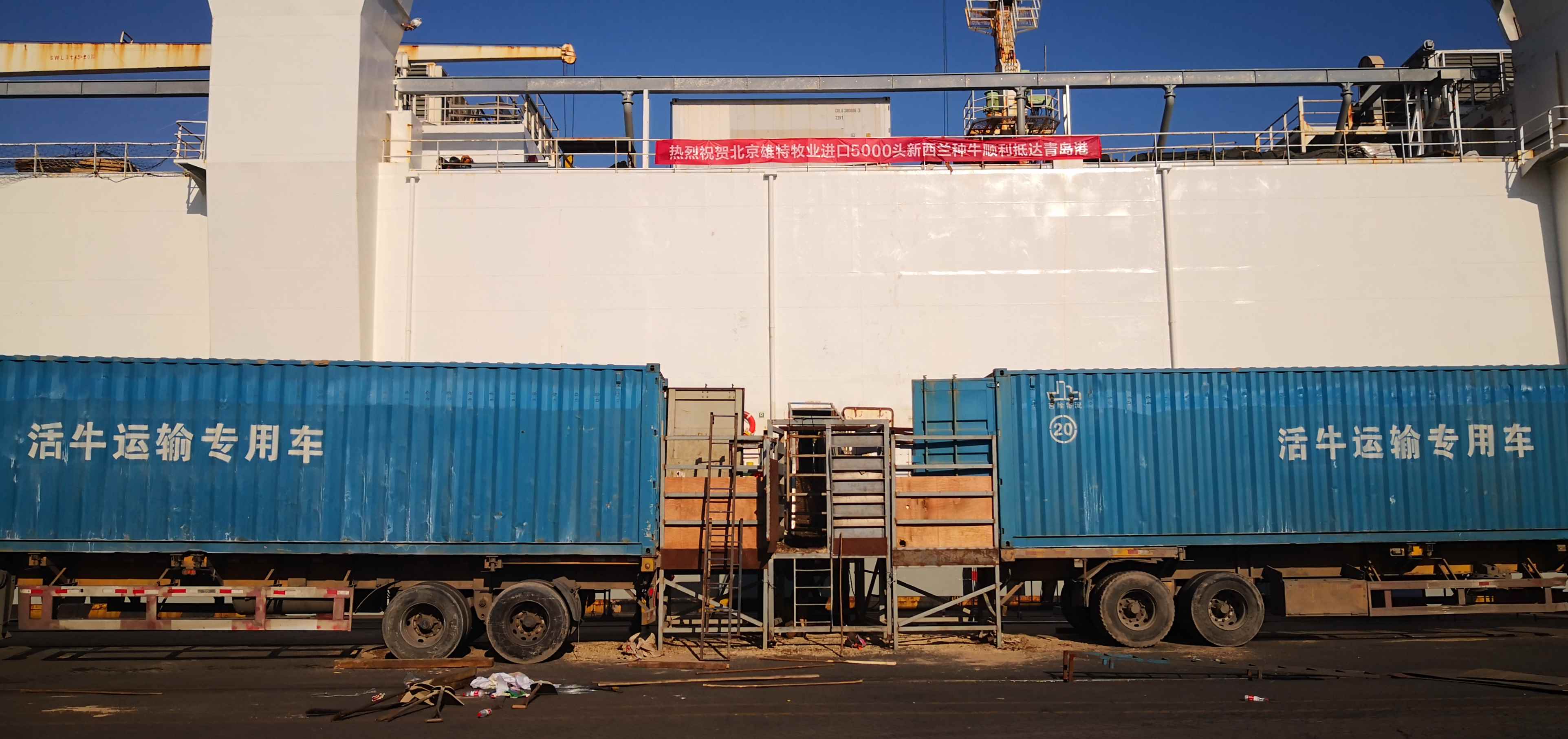 丰满的继牳2理伦片