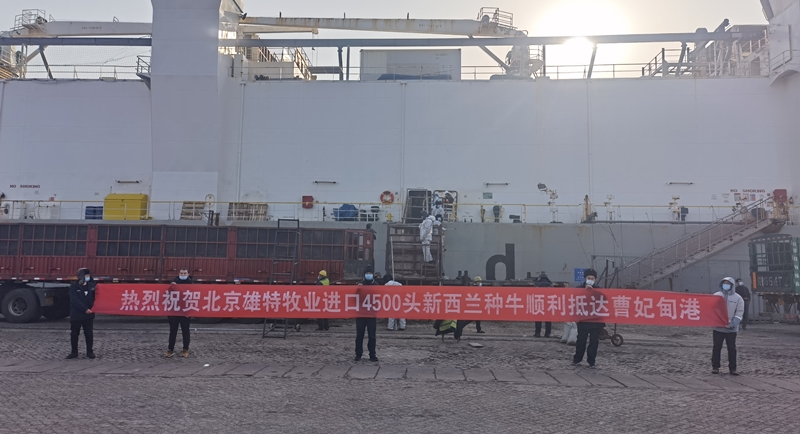 丰满的继牳2理伦片