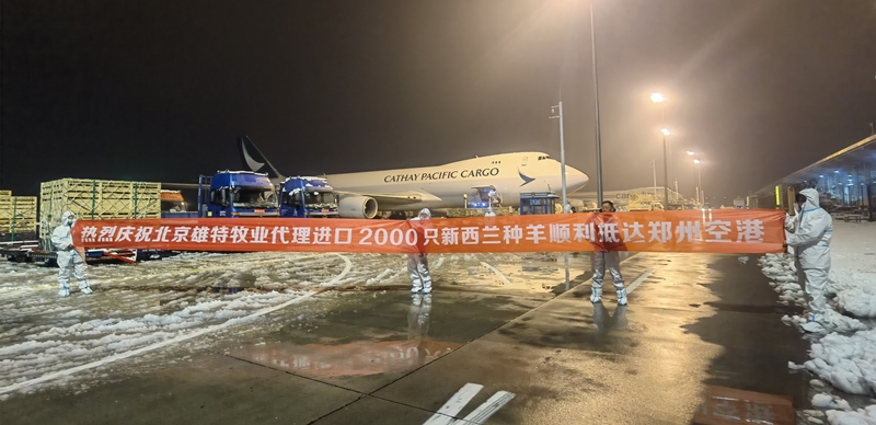 丰满的继牳2理伦片