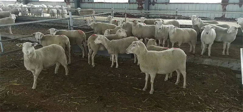 6073f25ee000d.jpg 微信图片_20210412150453.jpg