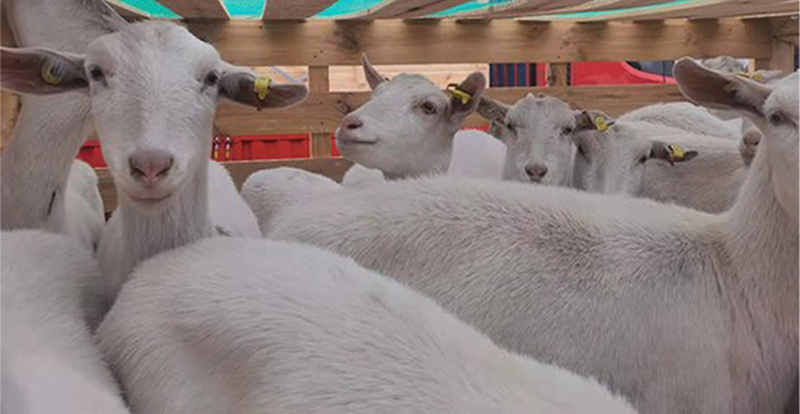 6073f78697b18.jpg 微信图片_20210412153051.jpg