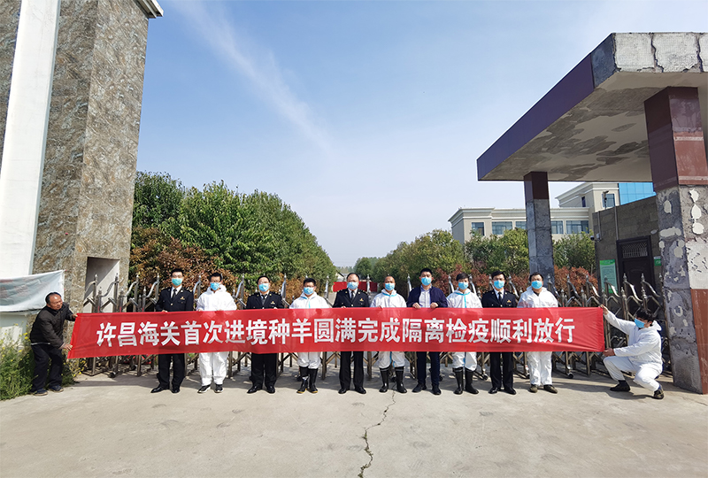 丰满的继牳2理伦片