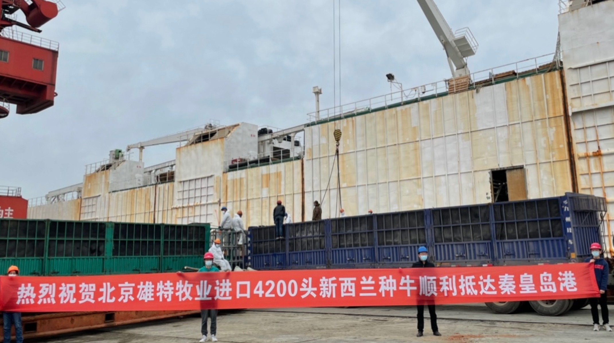 丰满的继牳2理伦片