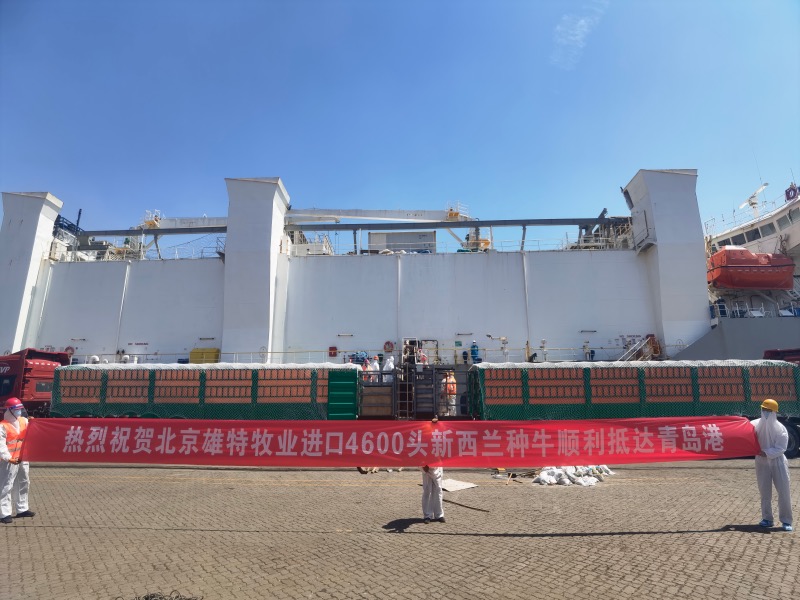 丰满的继牳2理伦片