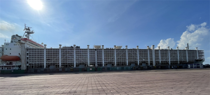 丰满的继牳2理伦片