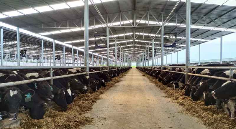 丰满的继牳2理伦片