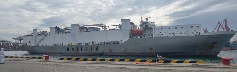 丰满的继牳2理伦片