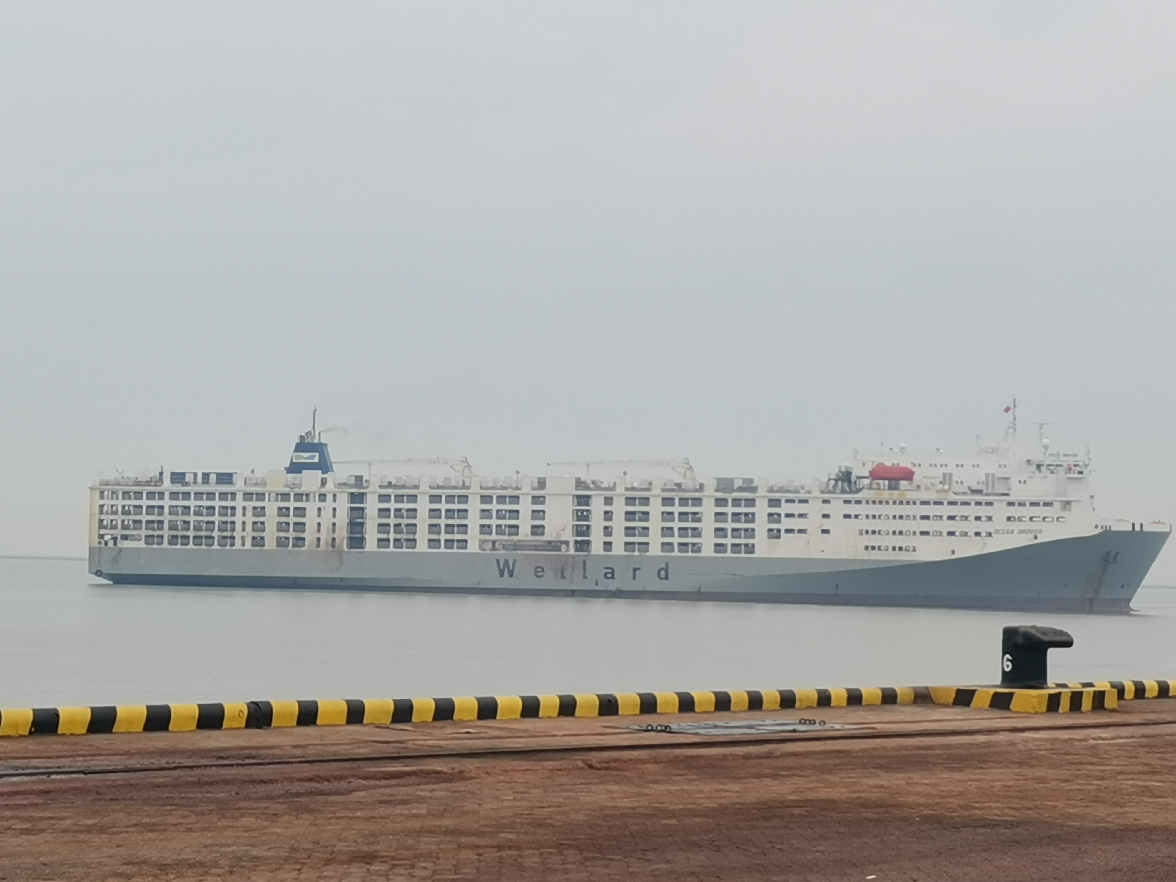 丰满的继牳2理伦片