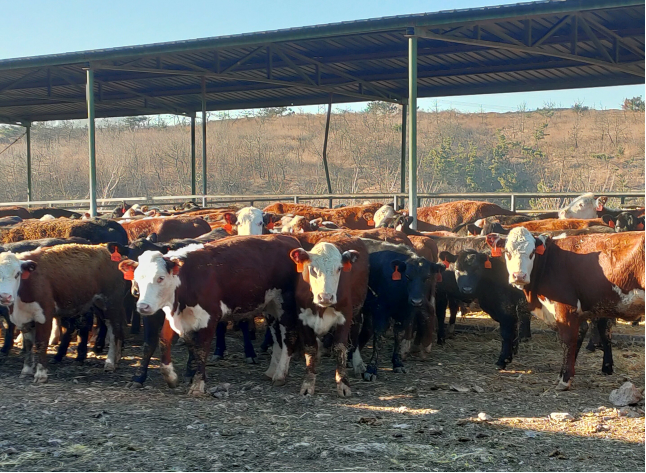 image1640587744.png image1640587744.png