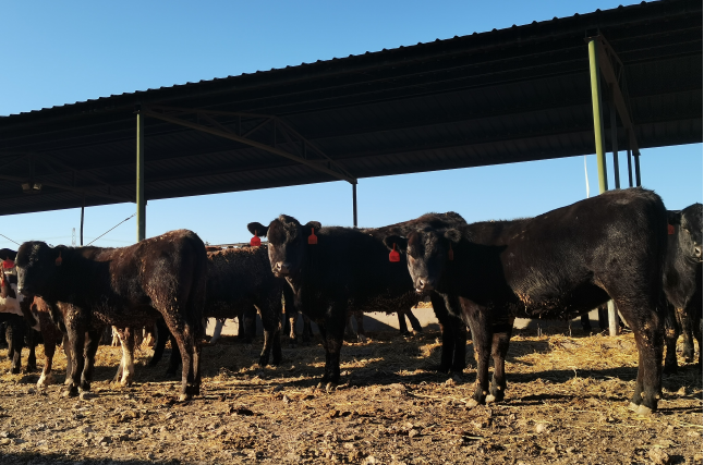 image1640587755.png image1640587755.png