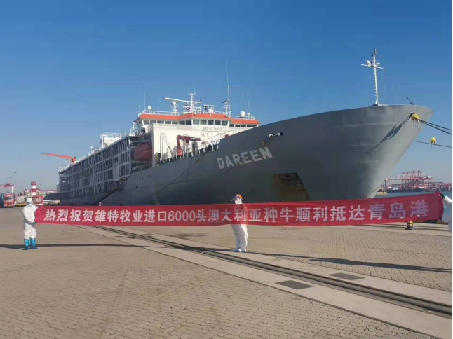 丰满的继牳2理伦片