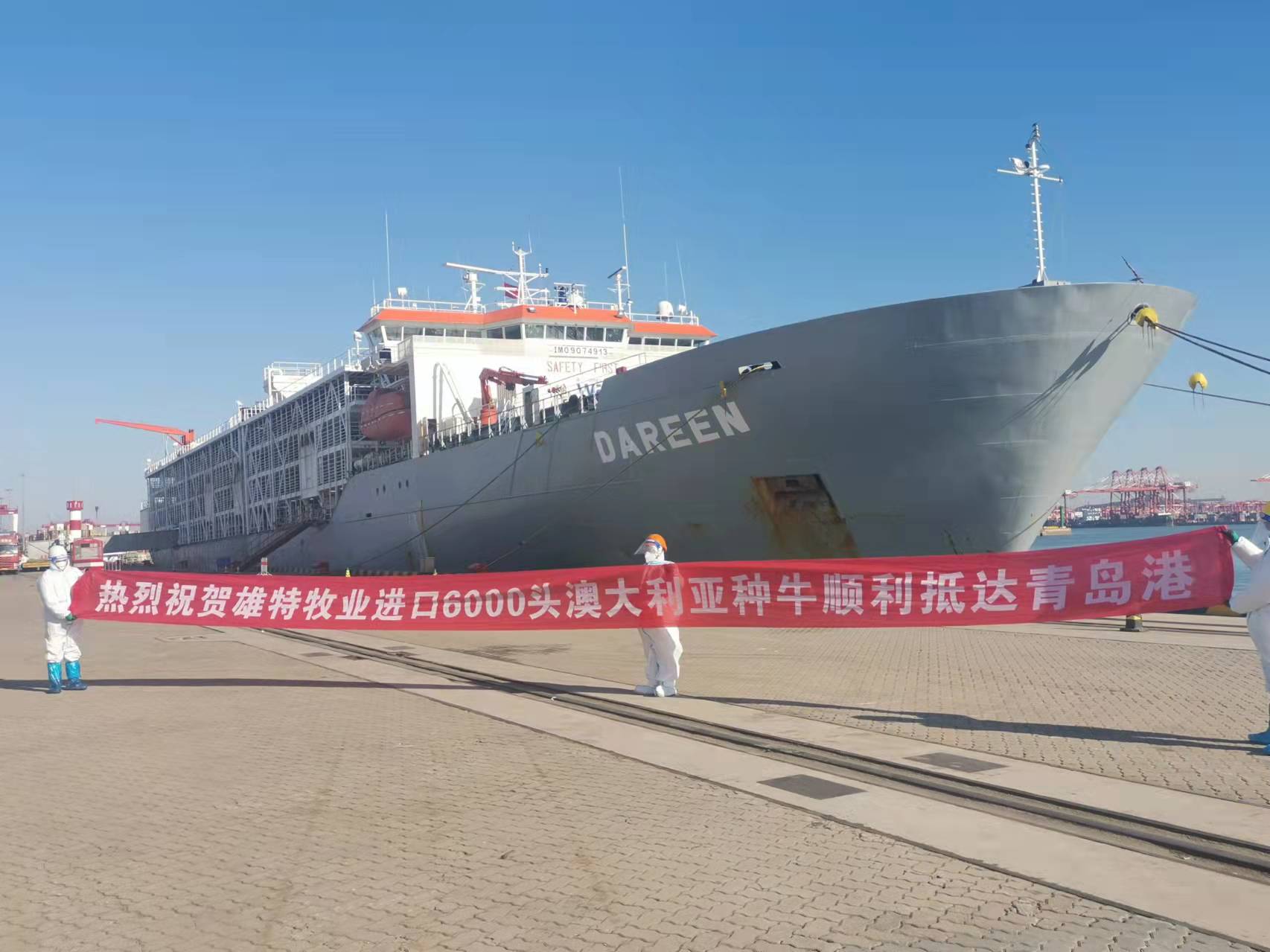 丰满的继牳2理伦片