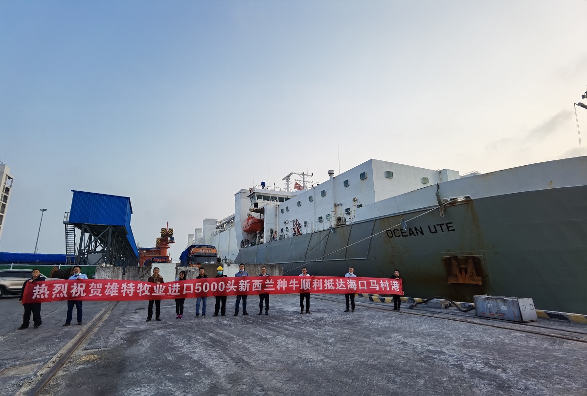 丰满的继牳2理伦片