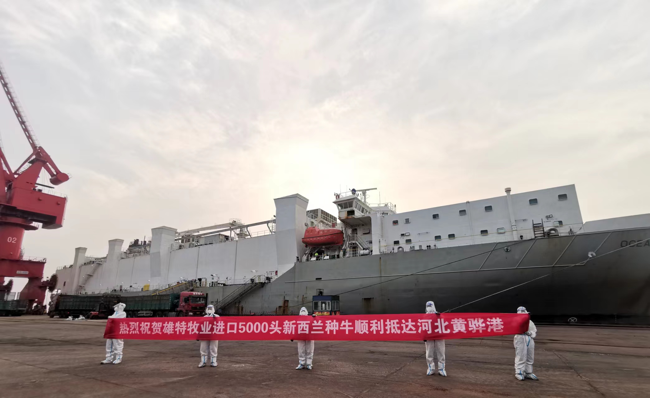 丰满的继牳2理伦片