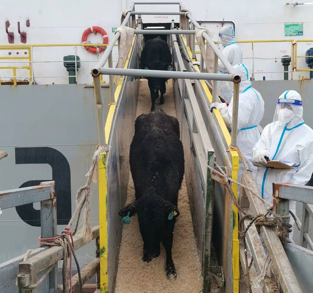 丰满的继牳2理伦片