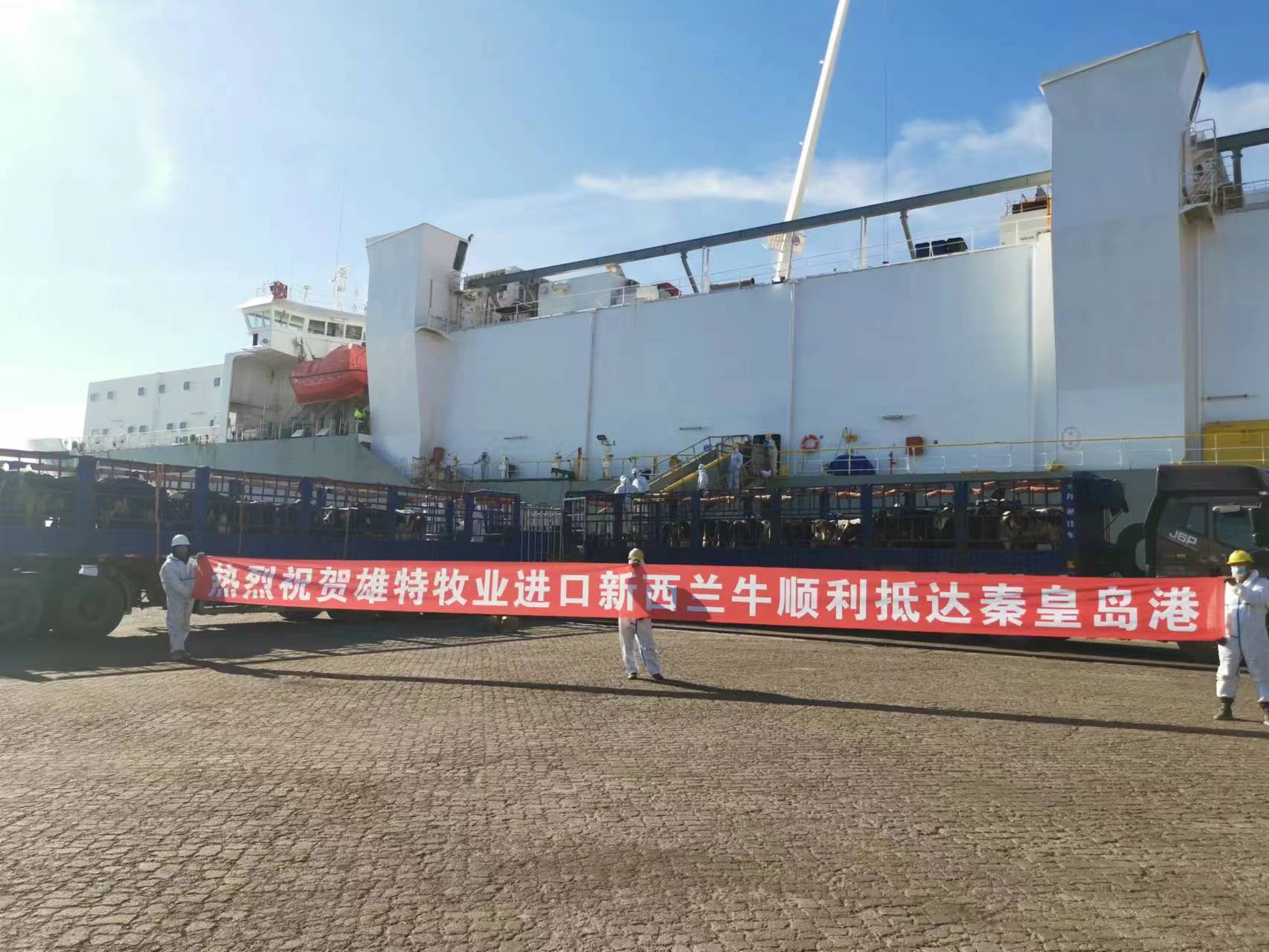 丰满的继牳2理伦片