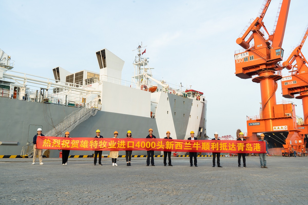 丰满的继牳2理伦片