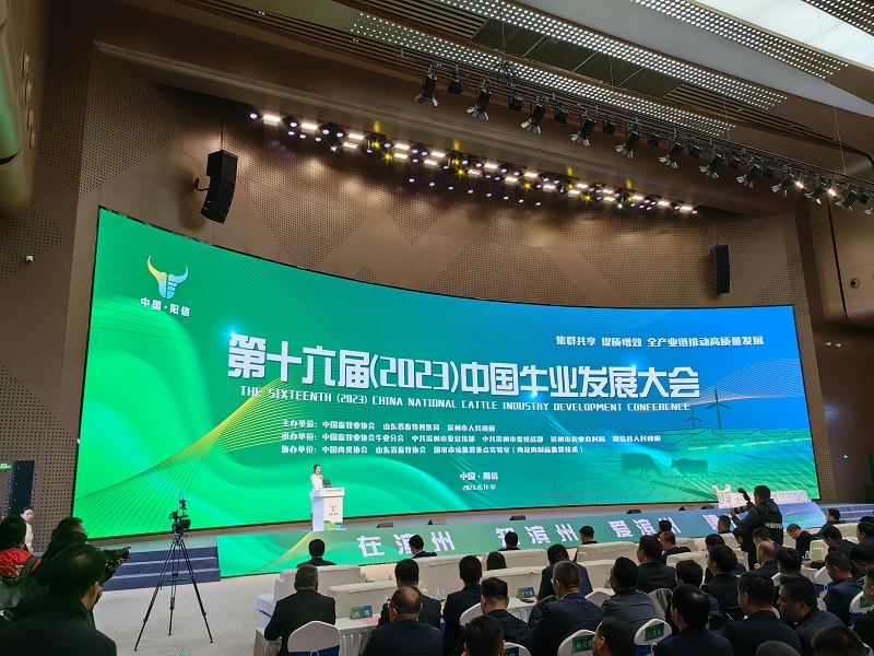 丰满的继牳2理伦片