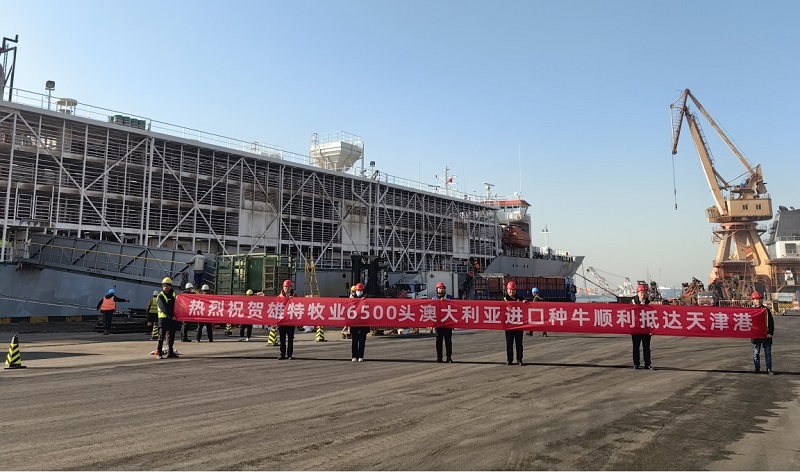 丰满的继牳2理伦片