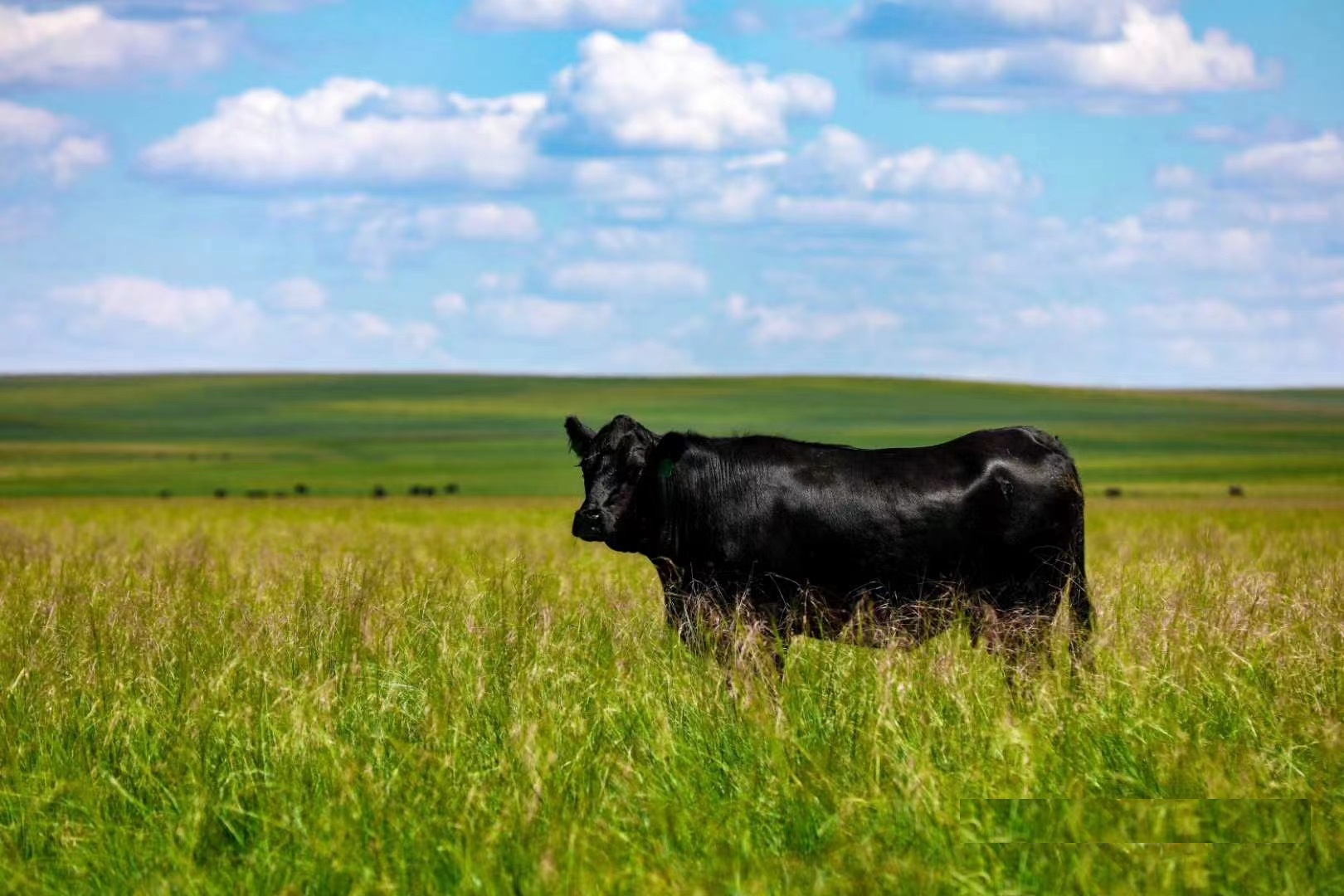 丰满的继牳2理伦片