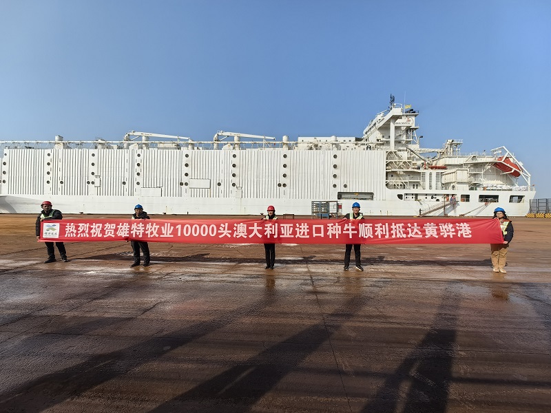 丰满的继牳2理伦片