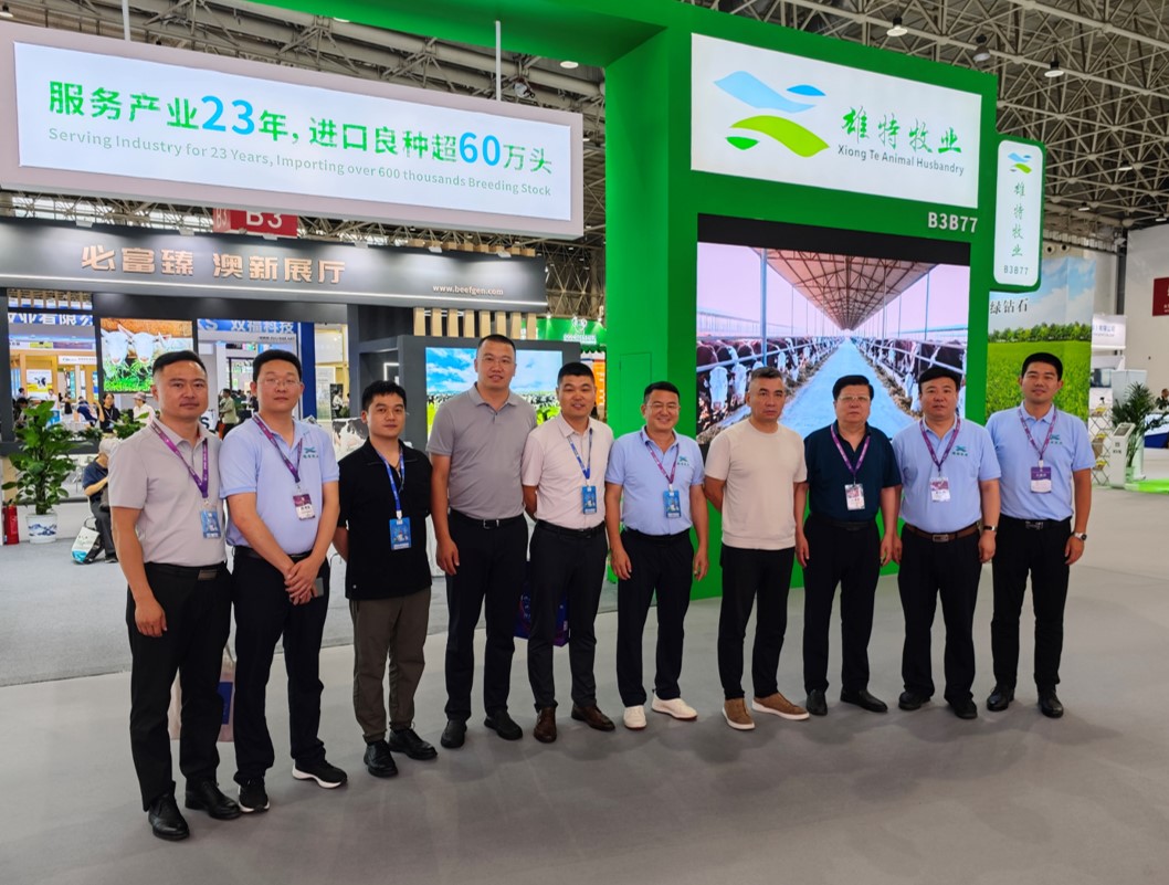 丰满的继牳2理伦片